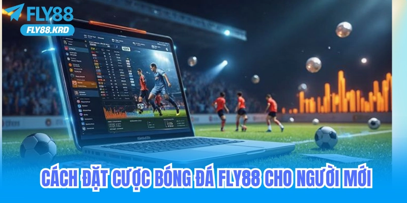 Cách đặt cược bóng đá tại Fly88 cho người mới